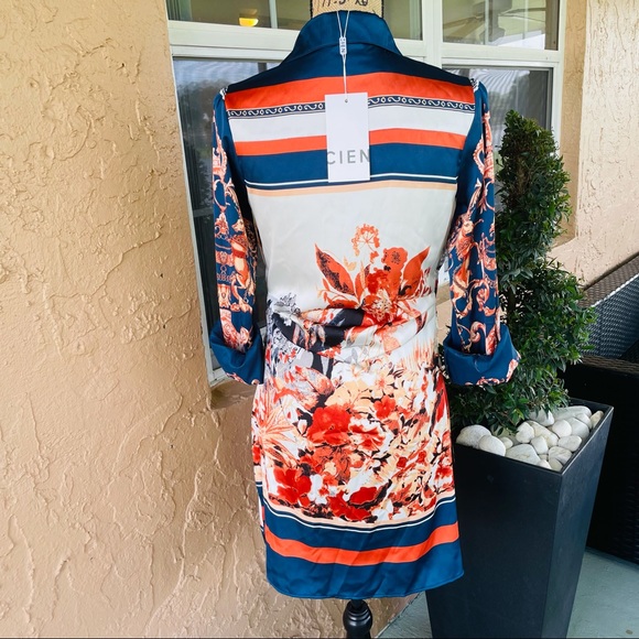 Cien Dress - Picture 6 of 9